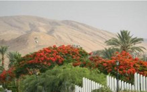   مصر اليوم - طابا منتجع سياحيّ مغلَّف بالجبال يجذب السائحين من ألمانيا وروسيا