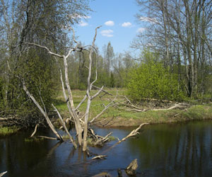 مصر اليوم - لاتفيا: استحقاق عن جدارة للترشح للقب أجمل بلد في العالم