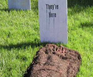   مصر اليوم - مقابر ألمانيا تعانى من قلة الدعم المادى