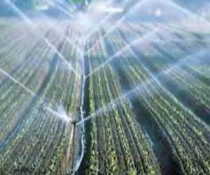   مصر اليوم - هولندا تتفوق على فرنسا وسويسرا فى وفرة الغذاء الصحى