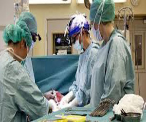   مصر اليوم - إشادة عالمية بالمشروع السويدى الرائد لزراعة الرحم