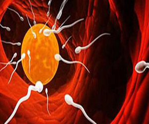   مصر اليوم - تحذير لبنوك الحيوانات المنوية من عدم الانصياع لشروط المتبرعين