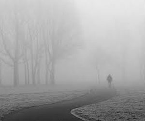   مصر اليوم - الضباب الكثيف في باكستان يعرقل حركة الطيران والقطارات