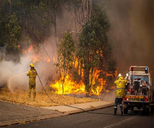   مصر اليوم - تفاقم موجة الحر في استراليا ونشوب العديد من الحرائق