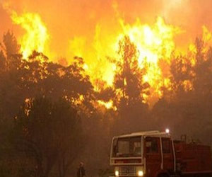   مصر اليوم - رجال الإطفاء الأميركيين يكافحون حرائق الغابات بالقرب من لوس أنجلوس