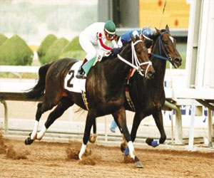   مصر اليوم - نادي الفروسية في الرياض يقيم حفل سباقه الـ44 السبت