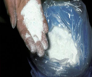   مصر اليوم - ضبط 10 أطنان كوكايين في الموانئ الهولندية