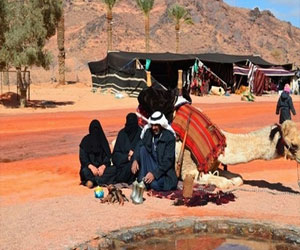   مصر اليوم - حياة الواحة تجذب الزوار في مهرجان الصحراء الدوالي السابع في حائل