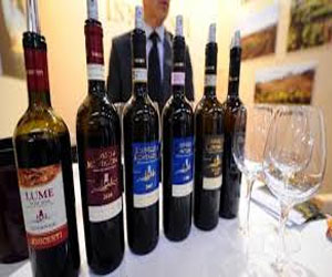   مصر اليوم - 80الف شخص يموتون سنويًا نتيجة الكحول في أميركا الشمالية واللاتينية