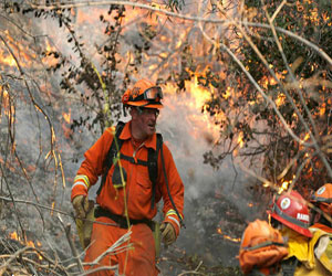   مصر اليوم - إخلاء 900 منزل بسبب حريق في إحدى غابات لوس أنجلوس