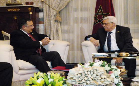   مصر اليوم - مصر تؤيّد المواقف الفلسطينيّة تجاه عملية السلام أيًا كانت القرارات