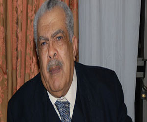   مصر اليوم - الكفراوي: السيسي يمتلك ذكاء عبد الناصر ودهاء السادات