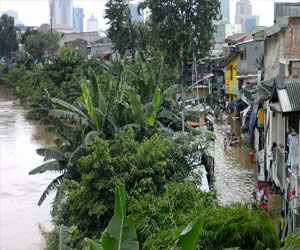   مصر اليوم - 23 قتيلاً وآلاف النازحين جراء فيضانات في إندونيسيا