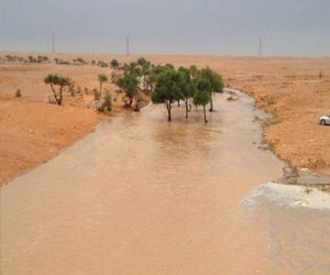   مصر اليوم - موت 6 فتيات من عائلة واحدة غرقًا في مستنقع مائي شرق الرياض