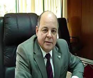   مصر اليوم - عرب يفتتح معرض  أحلام الديمقراطية للبهجوري بقاعة مسار في الزمالك