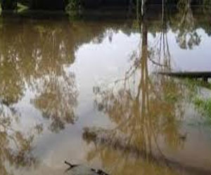   مصر اليوم - خبراء عرب ودوليون يبحثون الأثنين مواجهة تأثيرات التغيرات المناخية