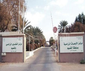   مصر اليوم - ورشة عمل عن زراعة العنب في مركز أبحاث القصيم