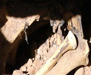   مصر اليوم - العثور على عظمة ربما تكون من رفات الملك ألفريد العظيم