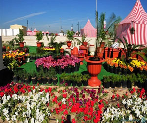   مصر اليوم - الهيئة الملكية في الجبيل تنظم مهرجان الحدائق والنباتات الشهر المقبل