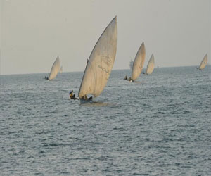   مصر اليوم - 10 قوارب في سباق الشراعية السنوي في جازان