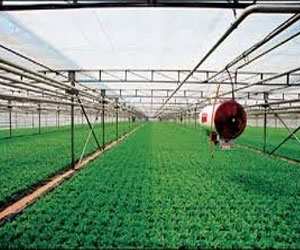   مصر اليوم - وزير الزراعة السوداني يبحث تنمية التعاون الزراعي