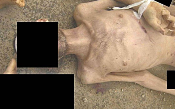   مصر اليوم - 55 ألف صورة لـ11 ألف معتقل سوريٍّ قضَوا تحت التعذيب في سجون الحكومة