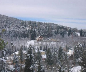 مصر اليوم - سكان شمال السويد يستيقظون على موجة صقيع قياسية