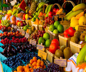   مصر اليوم - ارتفاع صادرات الأردن الزراعية لعام 2013