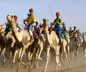   مصر اليوم - إشادة بنجاح مهرجان سباق الهجن الأول في كردفان