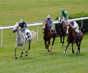   مصر اليوم - نادي الفروسية في الرياض يقيم الجمعة حفل سباقه الـ45