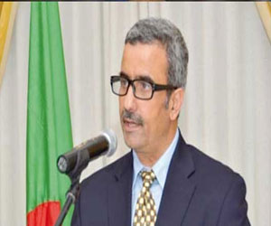   مصر اليوم - الجزائر تعتزم الترشح لاستضافة بطولة العالم لليد