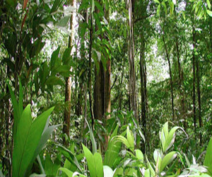   مصر اليوم - حراس حدائق يقتلون 7 أشخاص لممارسة أعمال الصيد غير القانونية