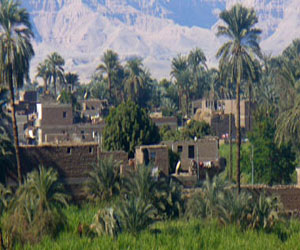   مصر اليوم - مواصلة مشروع يوم في قرية مصريَّة في السُّويس