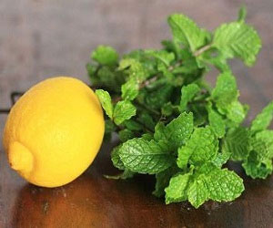 مصر اليوم - ماسك النعناع لعلاج مسام البشرة الواسعة