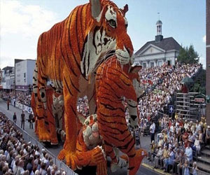   مصر اليوم - معظم الهولنديين سعداء في حياتهم بشكل عام