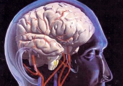   مصر اليوم - بروتين يعطي أملاً جديدًا لمرضى الزهايمر