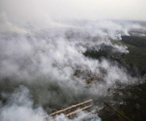   مصر اليوم - إلغاء 2500 رحلة جوية بسبب سوء الأحوال الجوية في الولايات المتحدة الأميركية