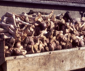   مصر اليوم - فرنسا تشارك فى الإحتفالات بذكرى محرقة الهولوكوست