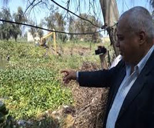   مصر اليوم - وزارة الري تطلق مزيدًا من المياه بفرع رشيد لتقليل آثار التلوث