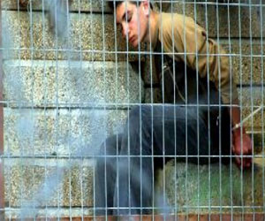   مصر اليوم - أسير فلسطيني يعلن تعليق إضرابه عن الطعام