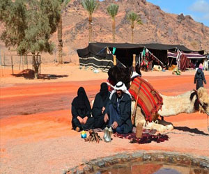   مصر اليوم - مهرجان الصحراء الدولي في حائل مسابقات ومشاركات