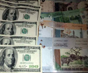  مصر اليوم - سعر صرف الدولار مقابل الجنيه السوداني