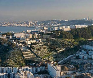   مصر اليوم - إثيوبيا تعرب عن رغبتها في تعزيز التعاون الاقتصادى مع الجزائر