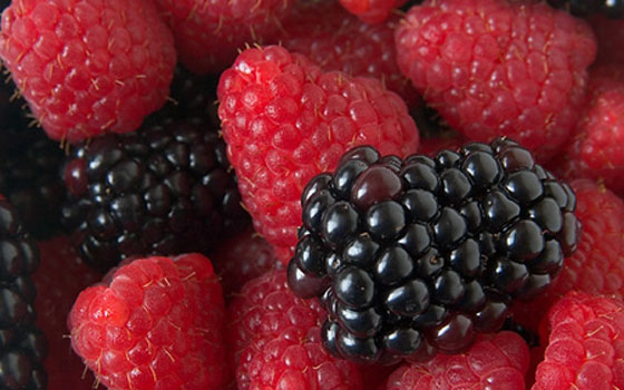   مصر اليوم - تناولُ التوت الحل الأمثل لزيّادة الوزن