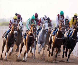   مصر اليوم - فروسية جدة تقيم مسابقة كأس دعم خادم الحرمين الشريفين