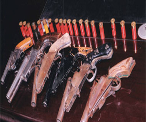   مصر اليوم - زعيم حزب الاستقلال البريطانى يطالب برفع الحظر عن الأسلحة