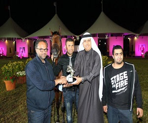   مصر اليوم - ختام بطولة فيصل بن حمد لجمال الخيل العربية