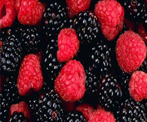   مصر اليوم - الفريز والتوت يخفضان إصابة المرأة بالأزمات القلبية