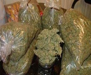   مصر اليوم - توقيف 3 عاطلين بحوزتهم بانجو وأقراص مخدّرة في البحر الأحمر