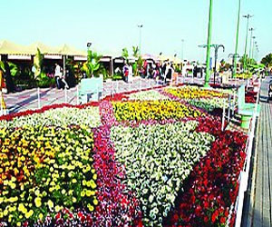   مصر اليوم - استعدادات مكثفة لمهرجان الزهور والحدائق الثامن في ينبع الصناعية